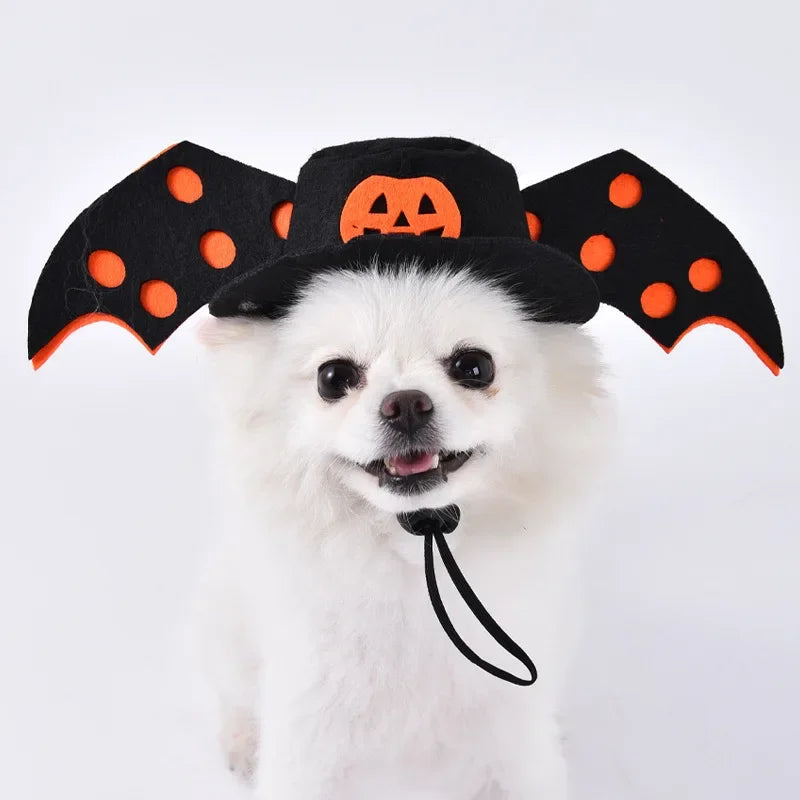 3-Piece Halloween Dog Cosplay Costume Set with Wig Hat & Prop