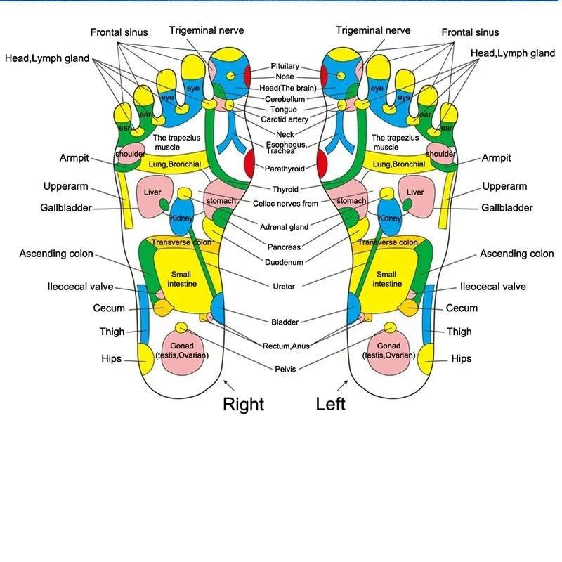 Acupressure Foot Massage Mat | Reflexology Stone Path for Pain & Stress Relief