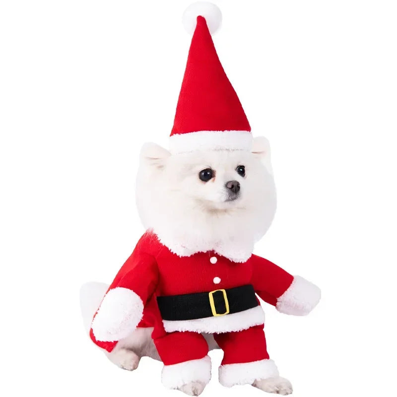 3-Piece Halloween Dog Cosplay Costume Set with Wig Hat & Prop
