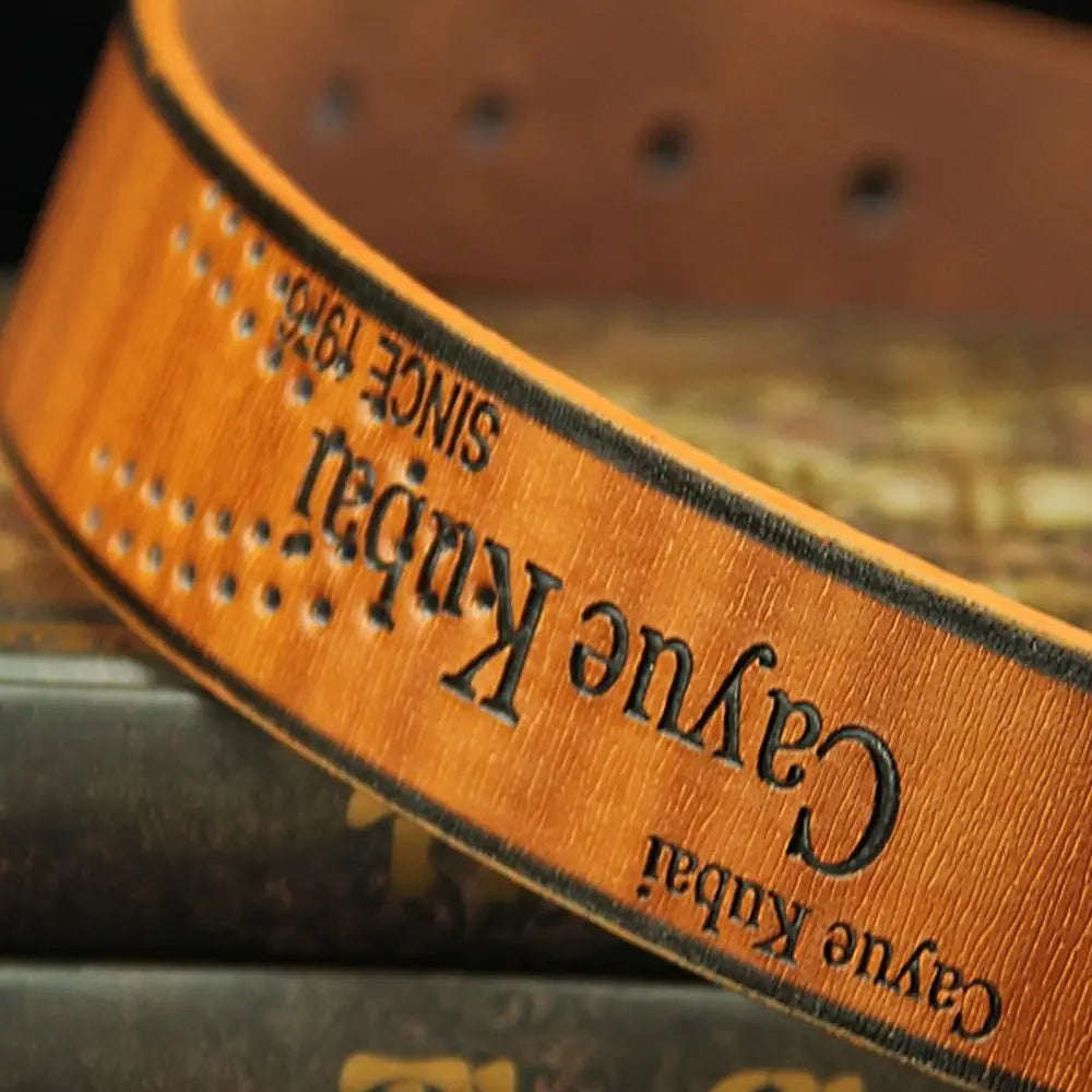 Men's Classic PU Leather Belt with Alloy Buckle